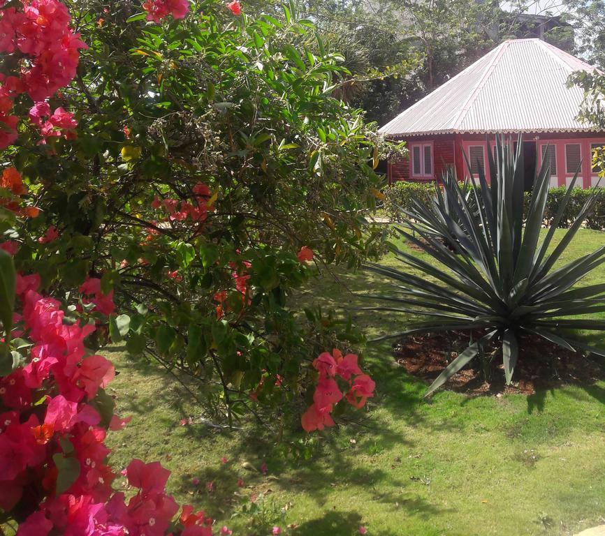 Las Puertas Del Paraiso Río San Juan 외부 사진